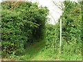 Bridleway near North Farm