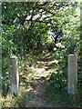 Footpath by The Shrublands