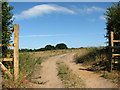 Farm track into a pasture or field