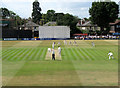 Chelmsford: County Cricket Ground - 2