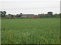 Farmland, Stragglethorpe