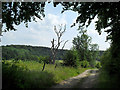 The Evenlode Valley South of Combe