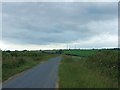 SY5693 : Roman road on Eggardon Hill by David Smith