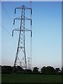 Electricity pylons north of Black Hales Farm