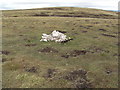 NN6680 : Small cairn at minor summit  902m by Cary O'Donnell