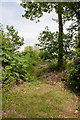 Start of footpath from Jermyns Lane