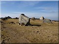 SX0255 : Stone circle, Great Carclaze by Derek Harper