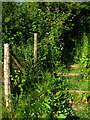 Usk Valley Stairway