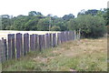 Slate fence on the Elwy floodplain