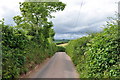 Mid Devon : Countryside Road