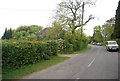 Footpath off Treemans Rd