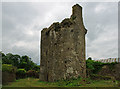 S1491 : Castles of Leinster: Dungar, Offaly by Mike Searle