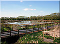 View from the Hide