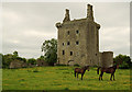 M8708 : Castles of Connacht: Derryhivenny, Galway (1) by Mike Searle