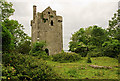R8099 : Castles of Connacht: Cloondagauv, Galway by Mike Searle