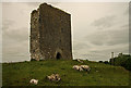 M5413 : Castles of Connacht: Deerpark, Galway by Mike Searle
