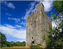 M4307 : Castles of Connacht: Lydacan, Galway (2) by Mike Searle