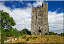 M4307 : Castles of Connacht: Lydacan, Galway (3) by Mike Searle