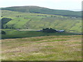 Nether Drumhead across the pasture