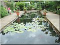 Pond in the formal gardens, Cragside