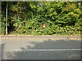 Hedged postbox ,Allt-yr-yn View, Newport