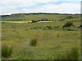 NR7109 : Rough grazing by Pennyland by RH Dengate