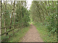 SJ7965 : Westerly along the bridle path by Jonathan Kington