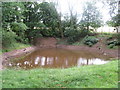 Pond near Tibberton