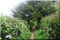 Footpath to Newick Hill