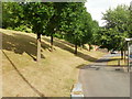 Tree-lined steep bank, Malpas Road, Newport