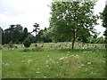 Chipping Norton Cemetery