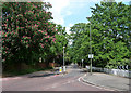 Chislehurst Road, Bickley