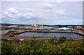 Barry Docks from Barry Island