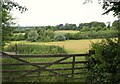 Field with ponds near Winters Cross