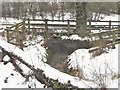 A small stream beside Back Lane