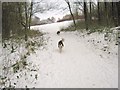 Running in the snow