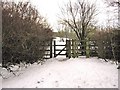 The gate from Pingle Croft leading into the fields.