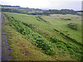 Pasture land east of Sorne