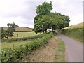 Lane past Chubworthy Farm