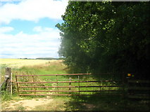 TR1863 : Gate near Calfs wood by David Anstiss
