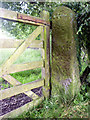 Cut bench mark, gatepost Butt Hill Lane