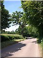 Road near Yettington