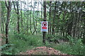 Exmoor : West Hill Woodland & Sign