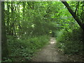 Footpath in Kemberland Wood