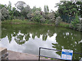 Boating Lake fishing area