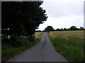 TM2864 : New Road, Framlingham by Geographer