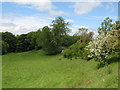 NY7059 : Pastures and woodland near Burn House by Mike Quinn