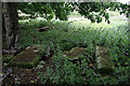 Gravestones at Southdean Old Parish Churchyard