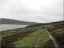 NN6964 : Damp day at Loch Errochty by Lis Burke