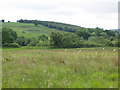 Pastures and woodland north of East Stonehouse